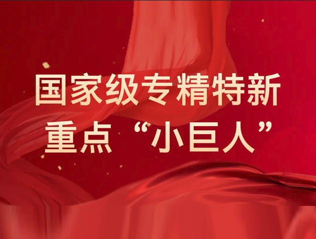 芯洲科技入選國(guó)家級(jí)專精特新重點(diǎn)“小巨